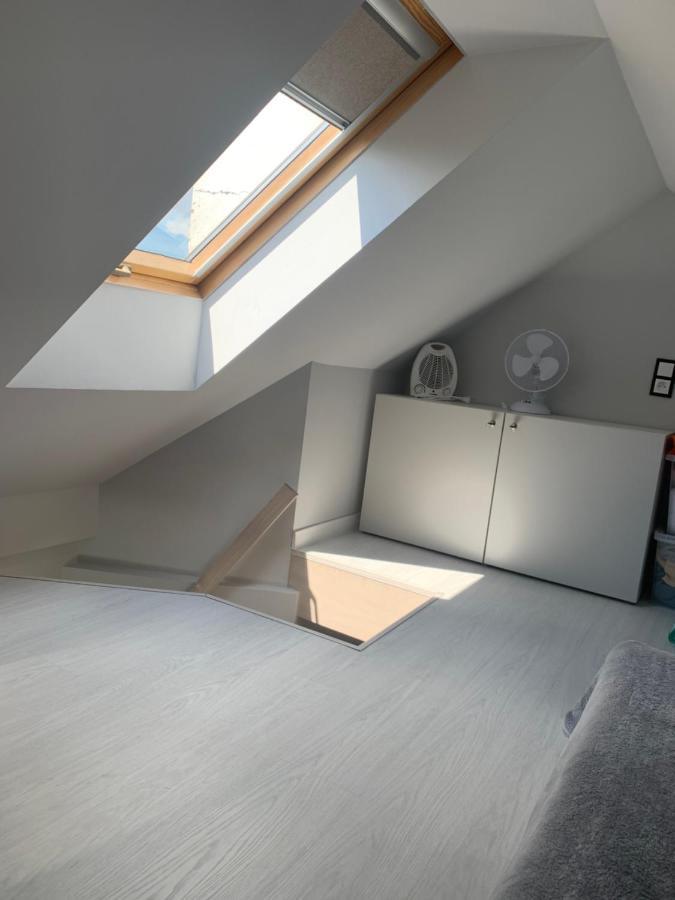 Loft W Centrum Olsztyna, Blisko Starowki Olsztyn  Dış mekan fotoğraf